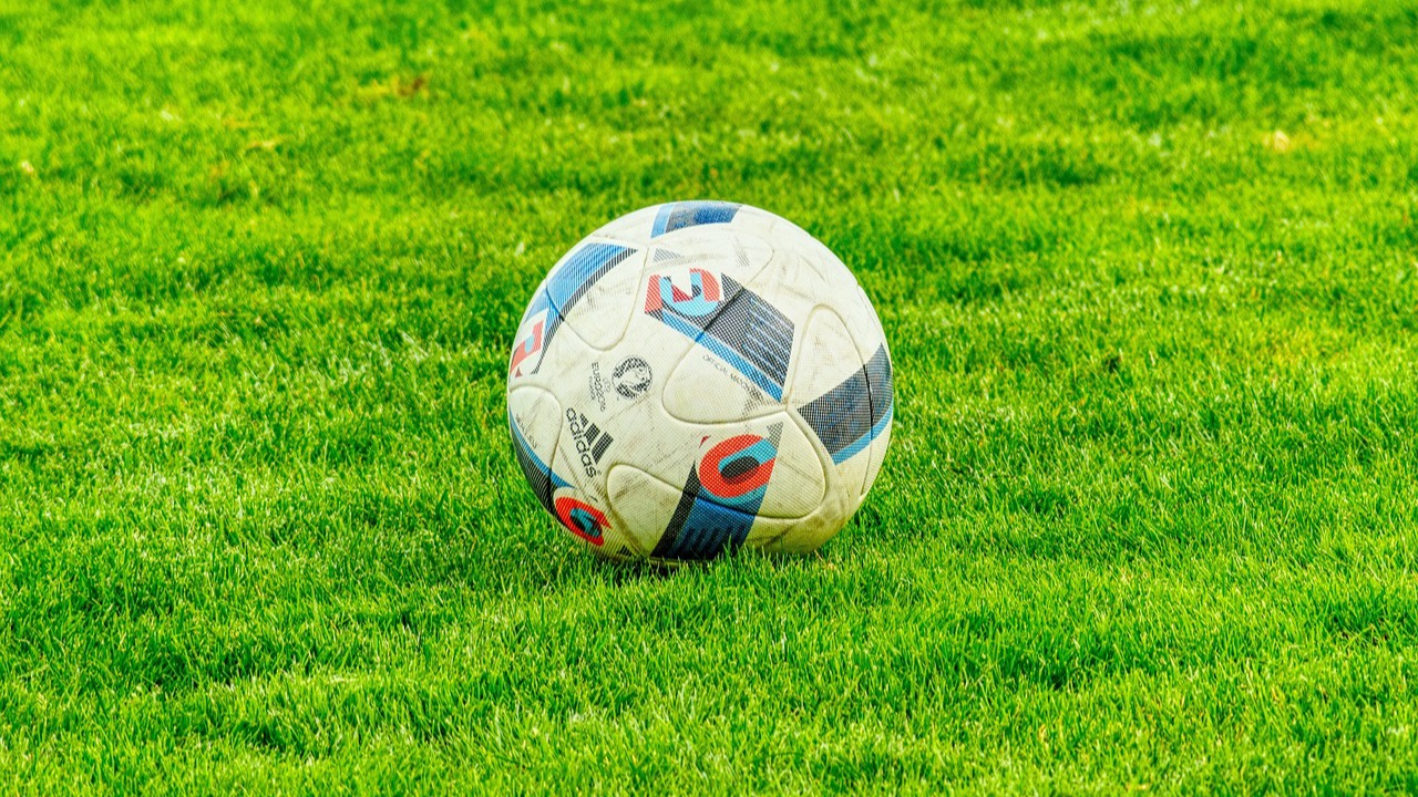 芝生の上に置かれたサッカーボール